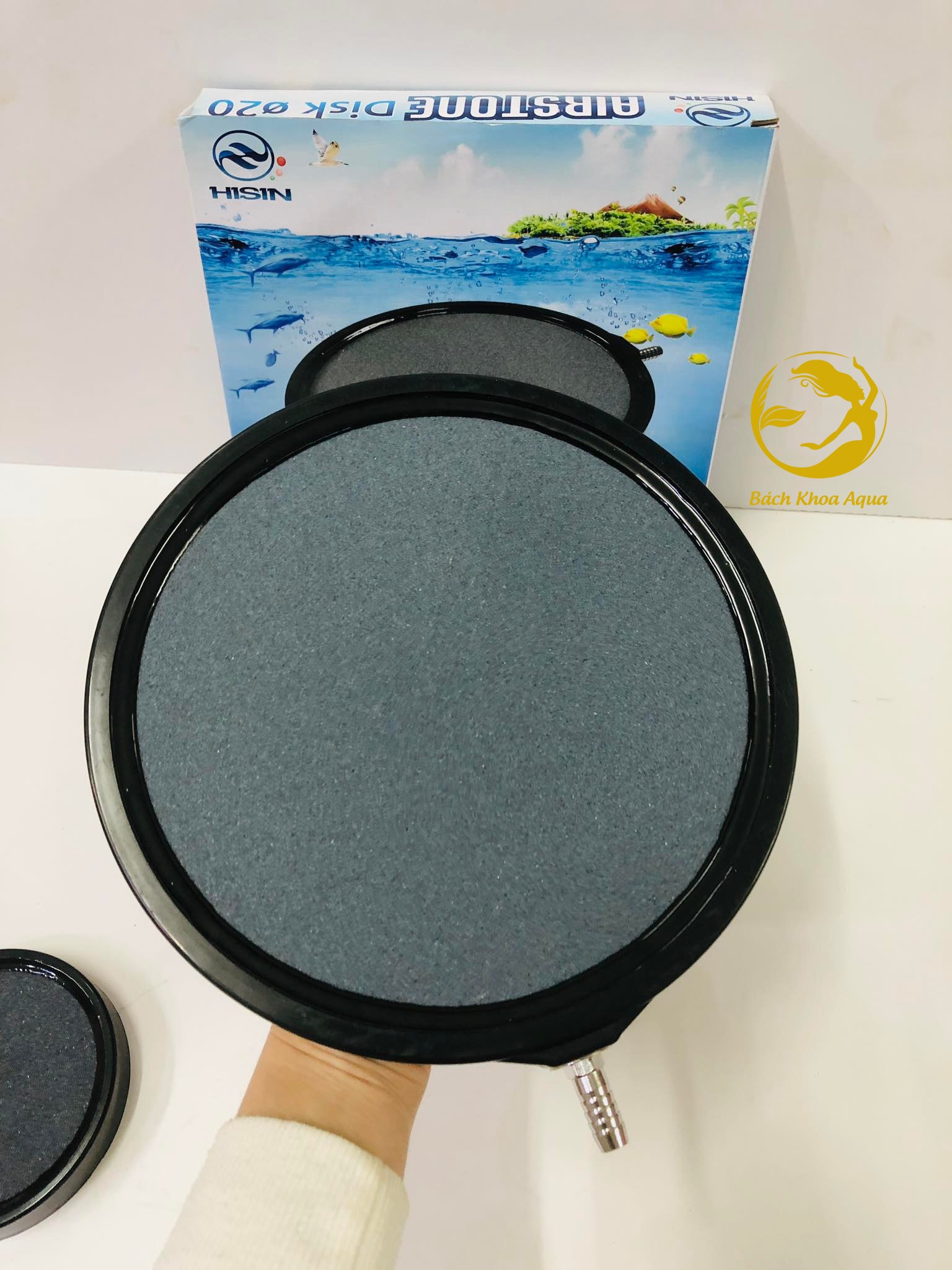 Đĩa sủi Oxy 10cm-13cm-20cm